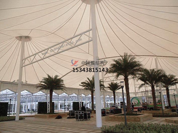 膜結(jié)構(gòu)預(yù)算單誰(shuí)能做？